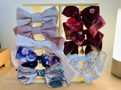 Hairclip display / storage shelf