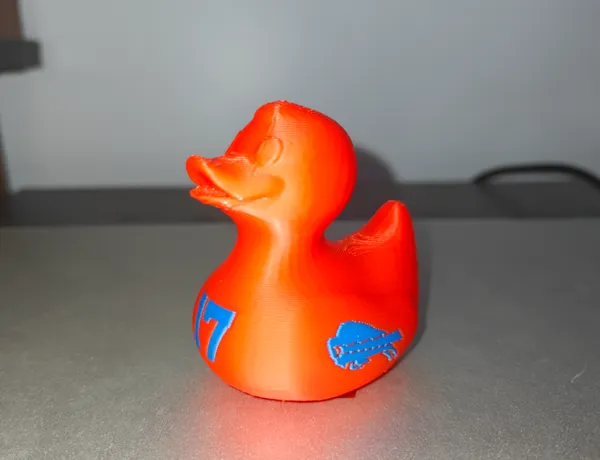 https://makerworld.bblmw.com/makerworld/model/US6a079153a96db9/design/2024-11-26_989bfd02d8175.jpg