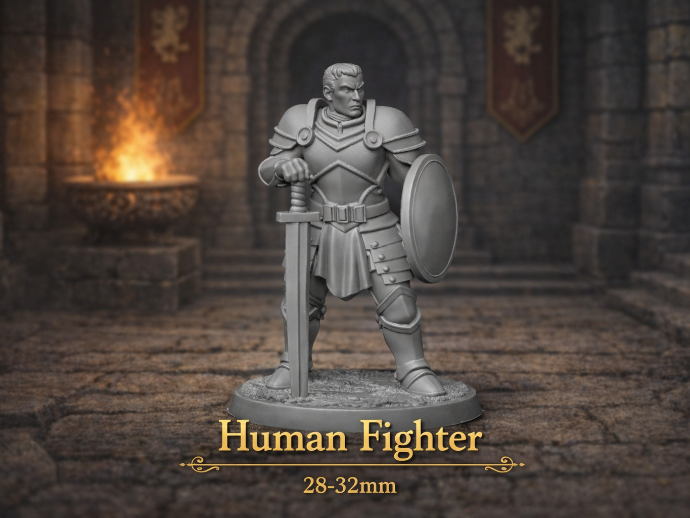 Human Fighter - DND miniature