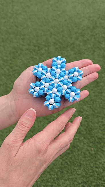 Snowflake Hive Fidget