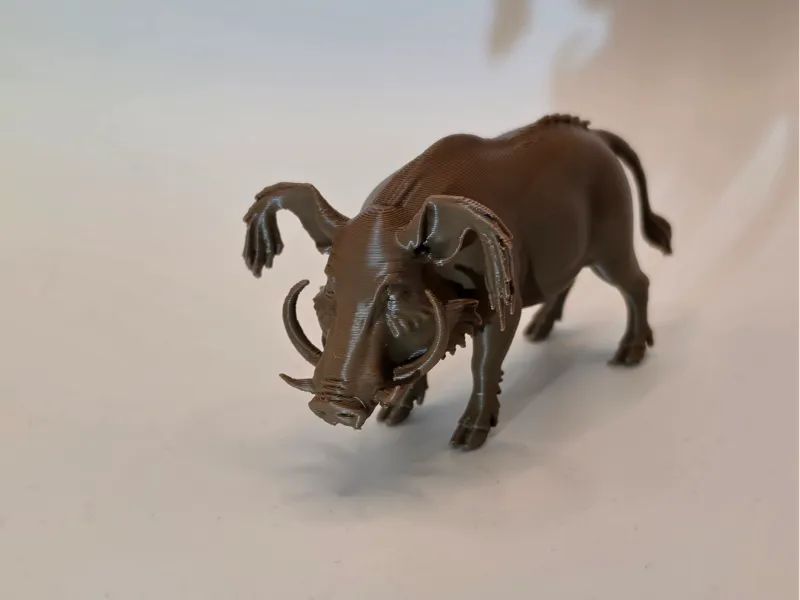 Red River Hog – The Brush-Eared Wild Pig