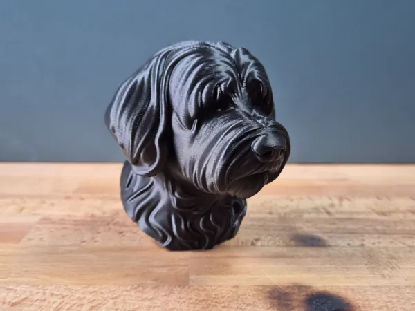 https://makerworld.bblmw.com/makerworld/model/US6a175cfc8e2307/design/2025-05-24_313a119e6d3b58.jpg