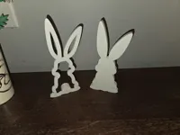 Mini version - 0.2mm layer, 2 walls, 15% infill
