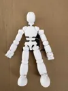0.2mm layer, 2 walls, 15% infill (one solid color)