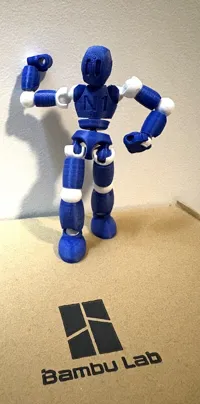 0.2mm layer, 2 walls, 15% infill MULTICOLOR