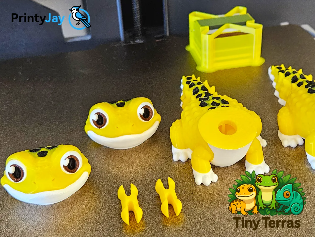 Cute Leopard Gecko - articulated model view 4