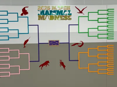 March Mammal Madness Wall Bracket by Alkylaid - MakerWorld