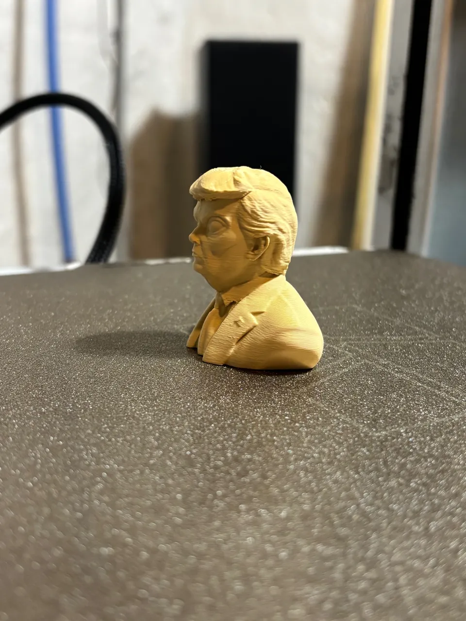 DONALD ALIEN view 4