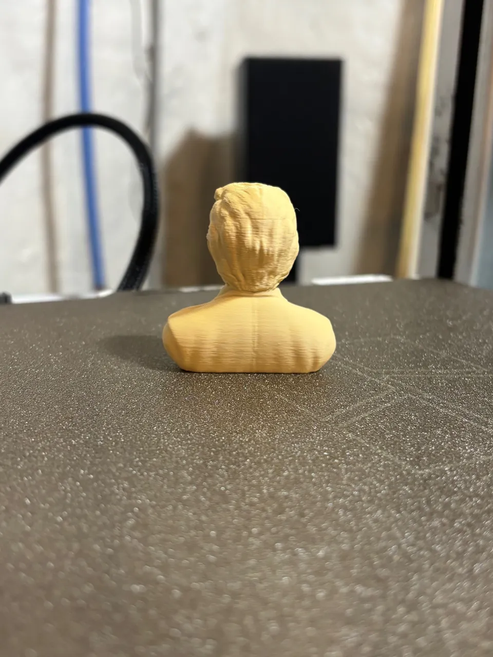 DONALD ALIEN view 2