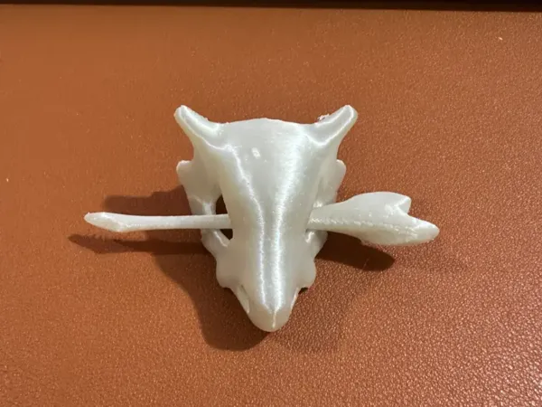 https://makerworld.bblmw.com/makerworld/model/US6a287e56d34773/design/2024-11-12_bf3bee58b882d.jpg