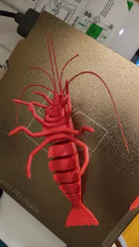 Crevette articulée — photo 10