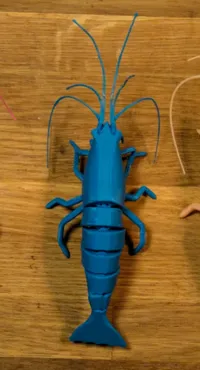 Crevette articulée — photo 3