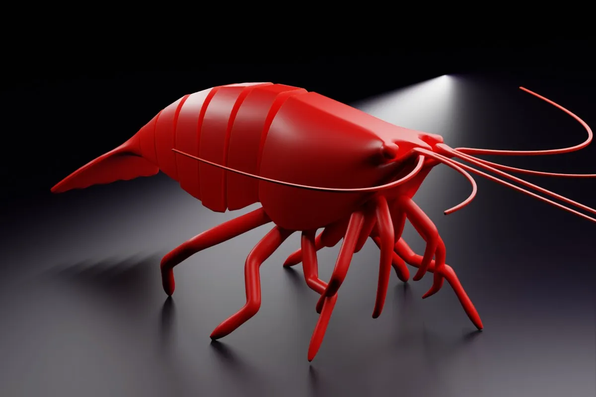 Articulated Shrimp view 2