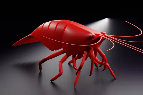 Articulated Shrimp view 2