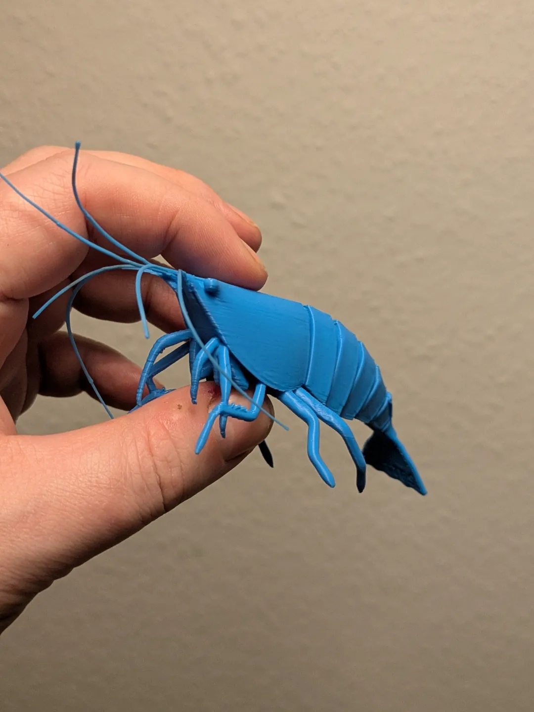 Articulated Shrimp view 4