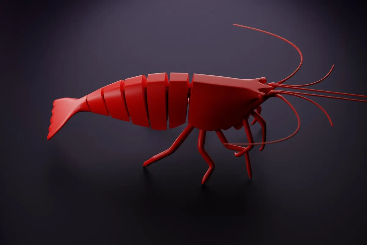 Articulated Shrimp view 3