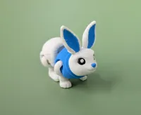Easter Bunny Boy