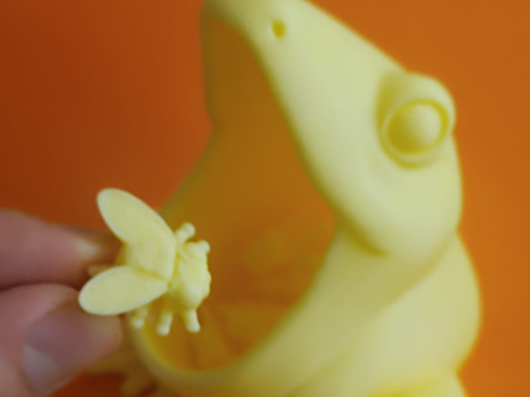 “The Frog Eats Flies” game