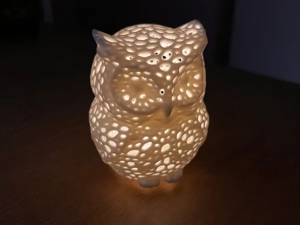 https://makerworld.bblmw.com/makerworld/model/US6a30ec9097c6f3/design/2025-02-08_17cd364a0bce38.jpg