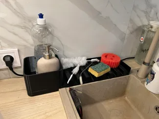Kitchen sink organizer