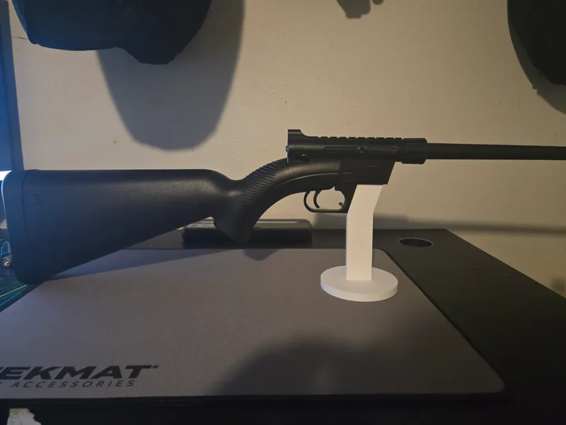 AR-7 Stand
