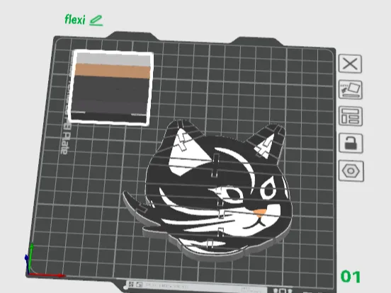 flexi cat