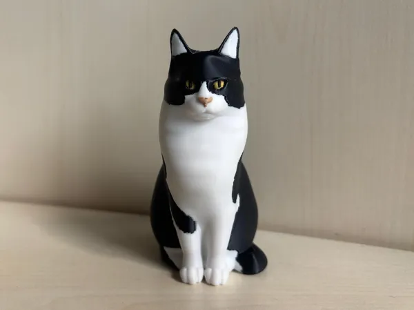 https://makerworld.bblmw.com/makerworld/model/US6a361beb08d24/design/dac535dc3c02087c.jpeg