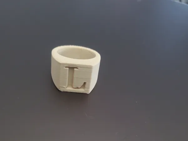 https://makerworld.bblmw.com/makerworld/model/US6a364e0c7baea/design/2025-04-15_ee5673830c426.jpg