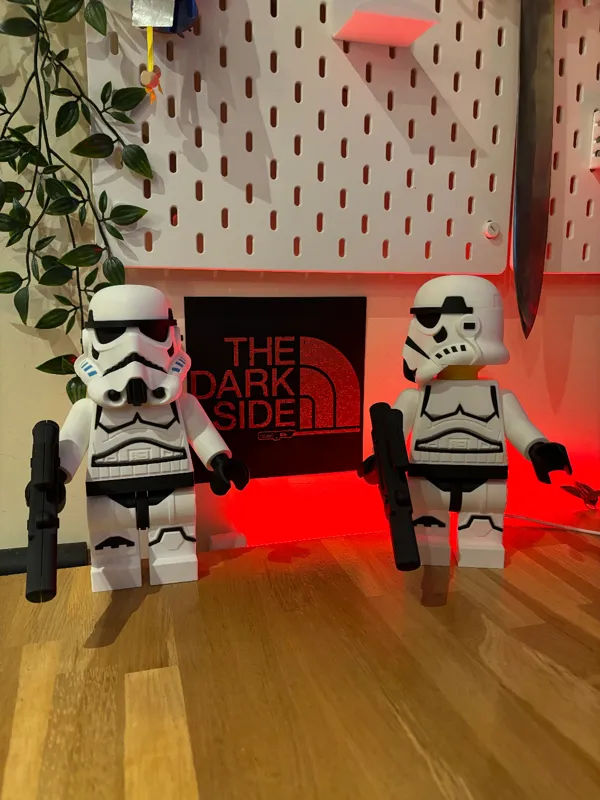 https://makerworld.bblmw.com/makerworld/model/US6a42260ff97ea0/design/2024-02-19_0621e6f5c2d34.jpg