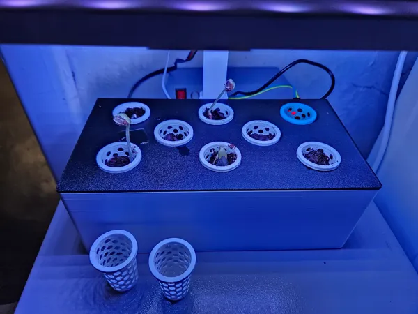 https://makerworld.bblmw.com/makerworld/model/US6a4616e8368c0f/design/2025-04-01_f4e8e81f114e8.jpg