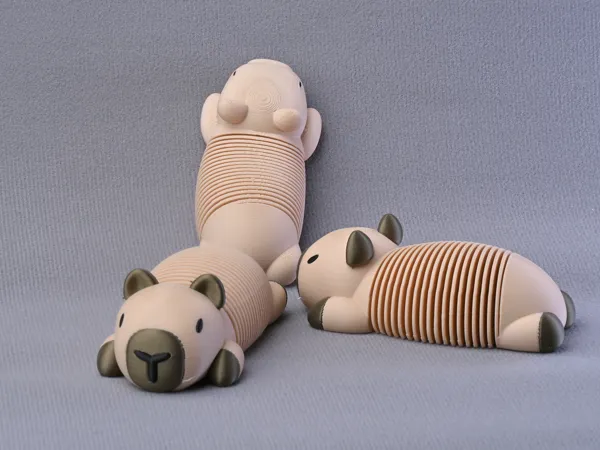 https://makerworld.bblmw.com/makerworld/model/US6a4a9a2afd8b3f/design/2025-07-21_5453ecc34326c.jpg