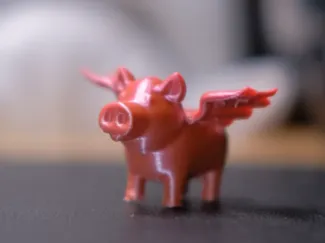 Flying pig