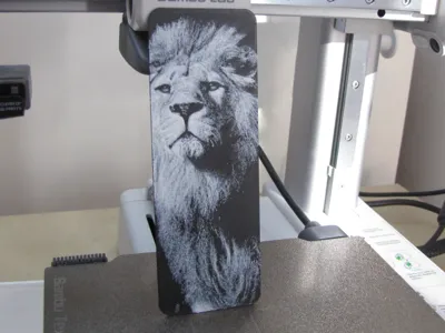 Lion bookmark 2