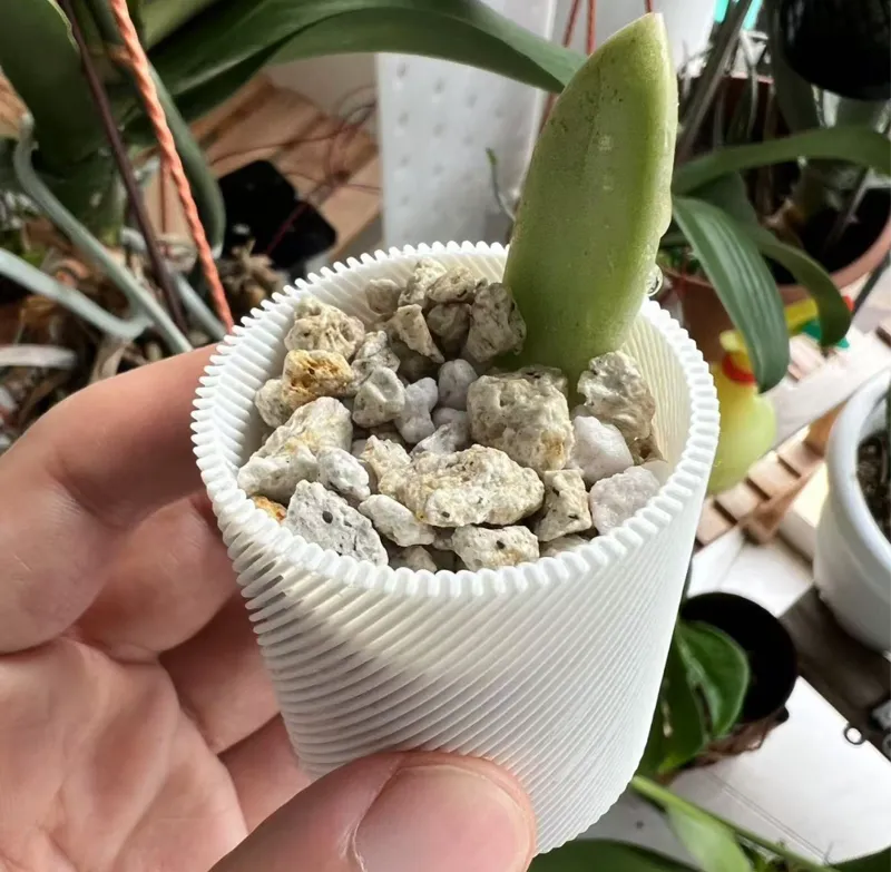 mini vase