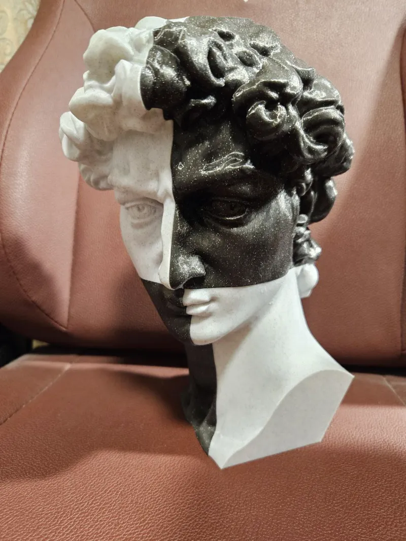 David Bust Decor Black and White 