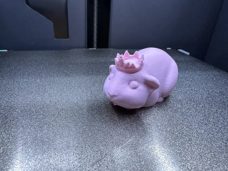 Guinea Pig (with Crown)