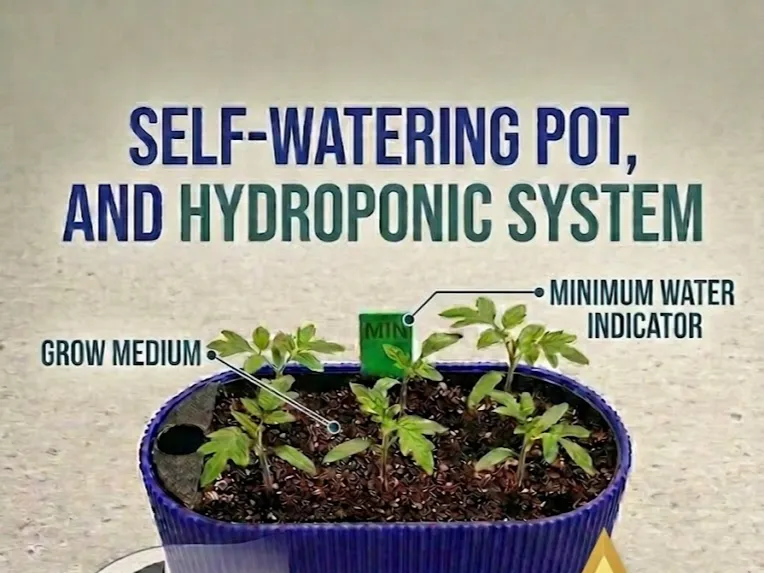 Self watering pot, with optional hydroponic kit