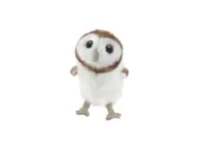 the 1st Tiny owl