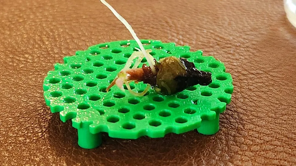 Corm Riser Corm Riser (The OG) - Free 3D Print Model - MakerWorld