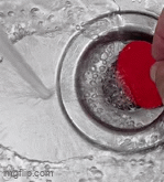 TPU "rubber" sink/bath tub stopper 