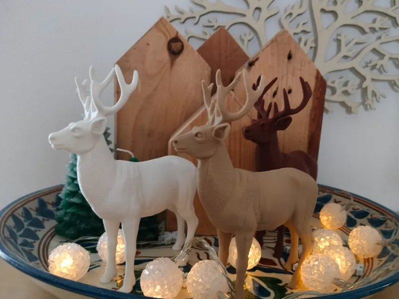 Reindeer