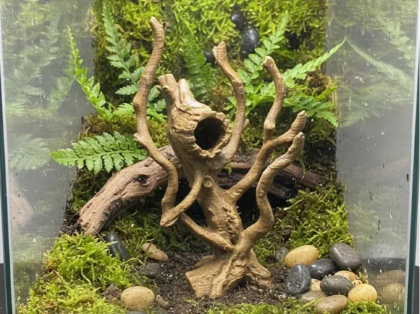https://makerworld.bblmw.com/makerworld/model/US6a6f9e97c4bf54/design/0130703dafac652e.jpg