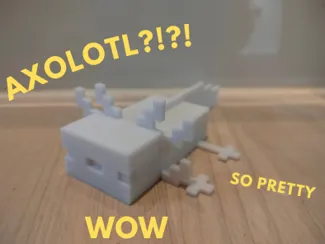 Minecraft Axolotl