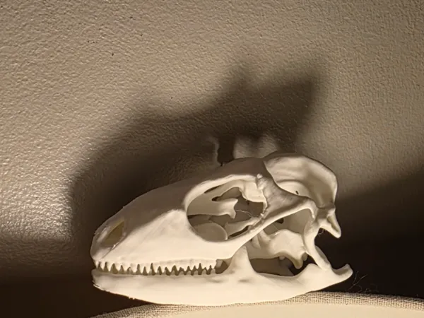 https://makerworld.bblmw.com/makerworld/model/US6a72f9b84c48b/design/2025-06-29_424439c1bb42.jpg