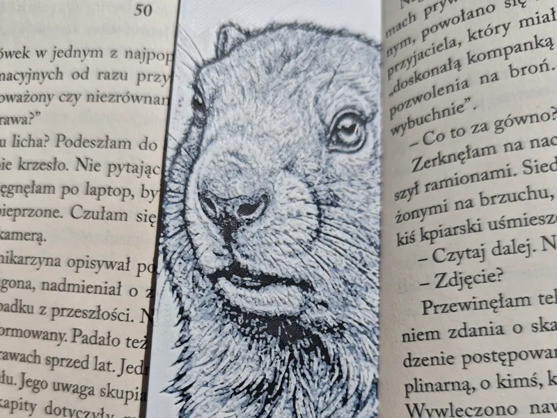Świstak