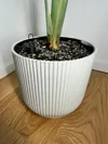 elho vibes fold 14cm, 0.2mm layer,15% infill, no support