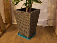 0.24mm layer, 2 walls, 15% infill