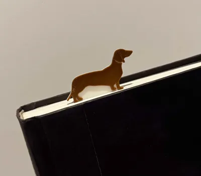 Miniature Dachshund between page Bookmark