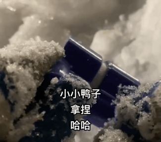 小鸭子夹雪器