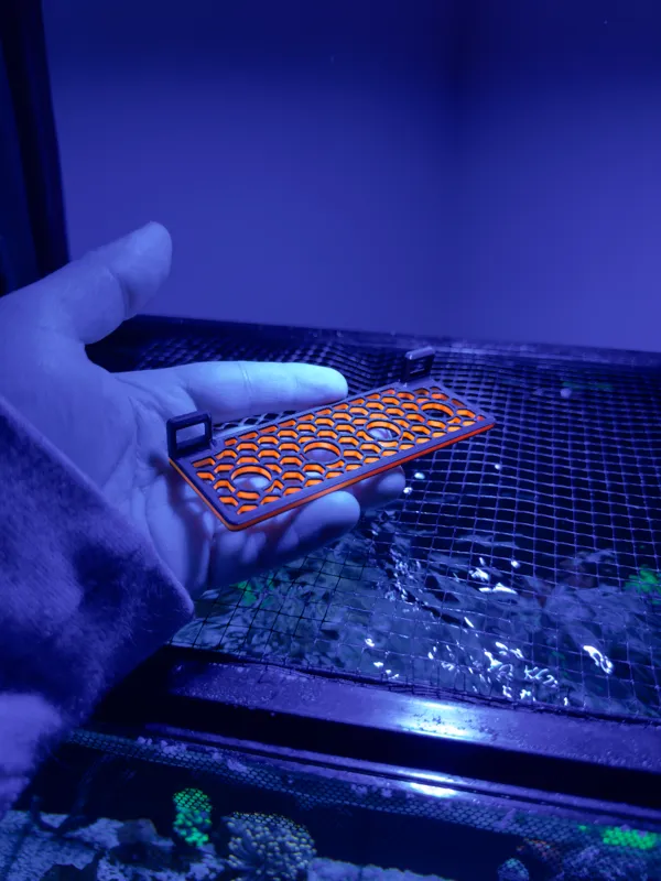 https://makerworld.bblmw.com/makerworld/model/US6a8182bda50d8c/design/2024-03-18_cca64e2097b6b.jpg